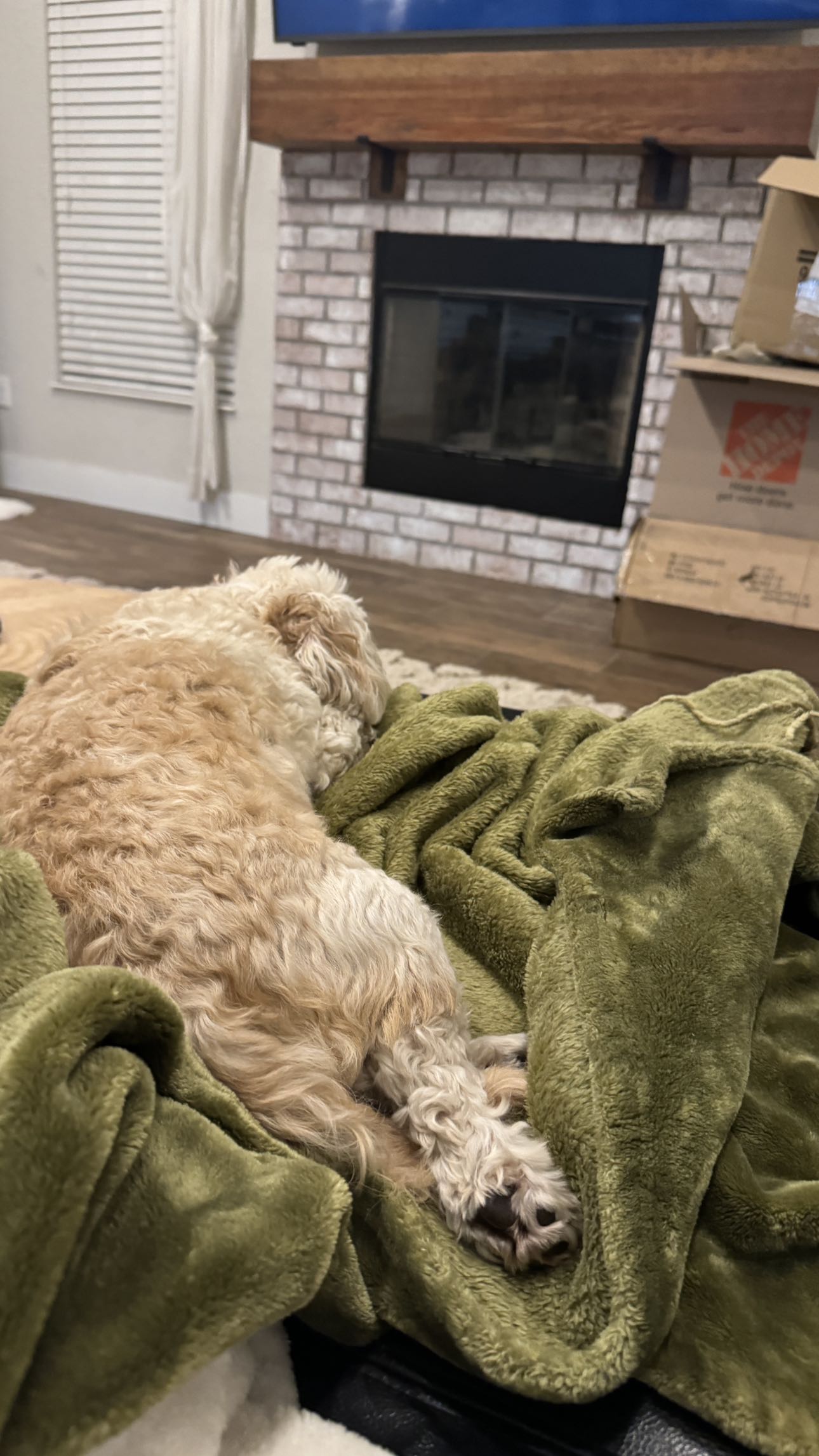 kkierstenking snapchat image archive image