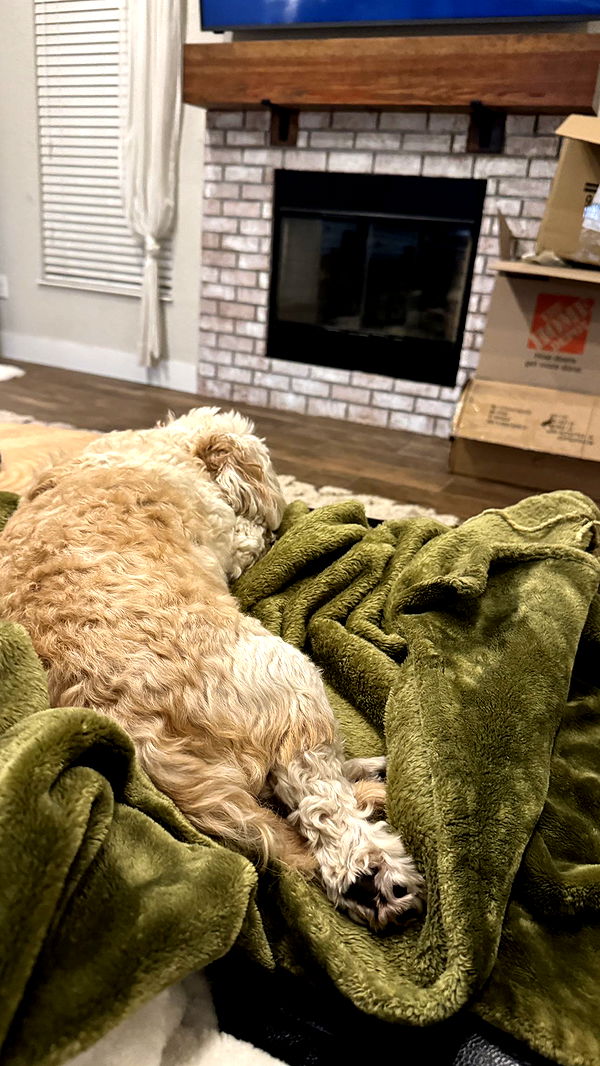 kkierstenking image ~ Altpins