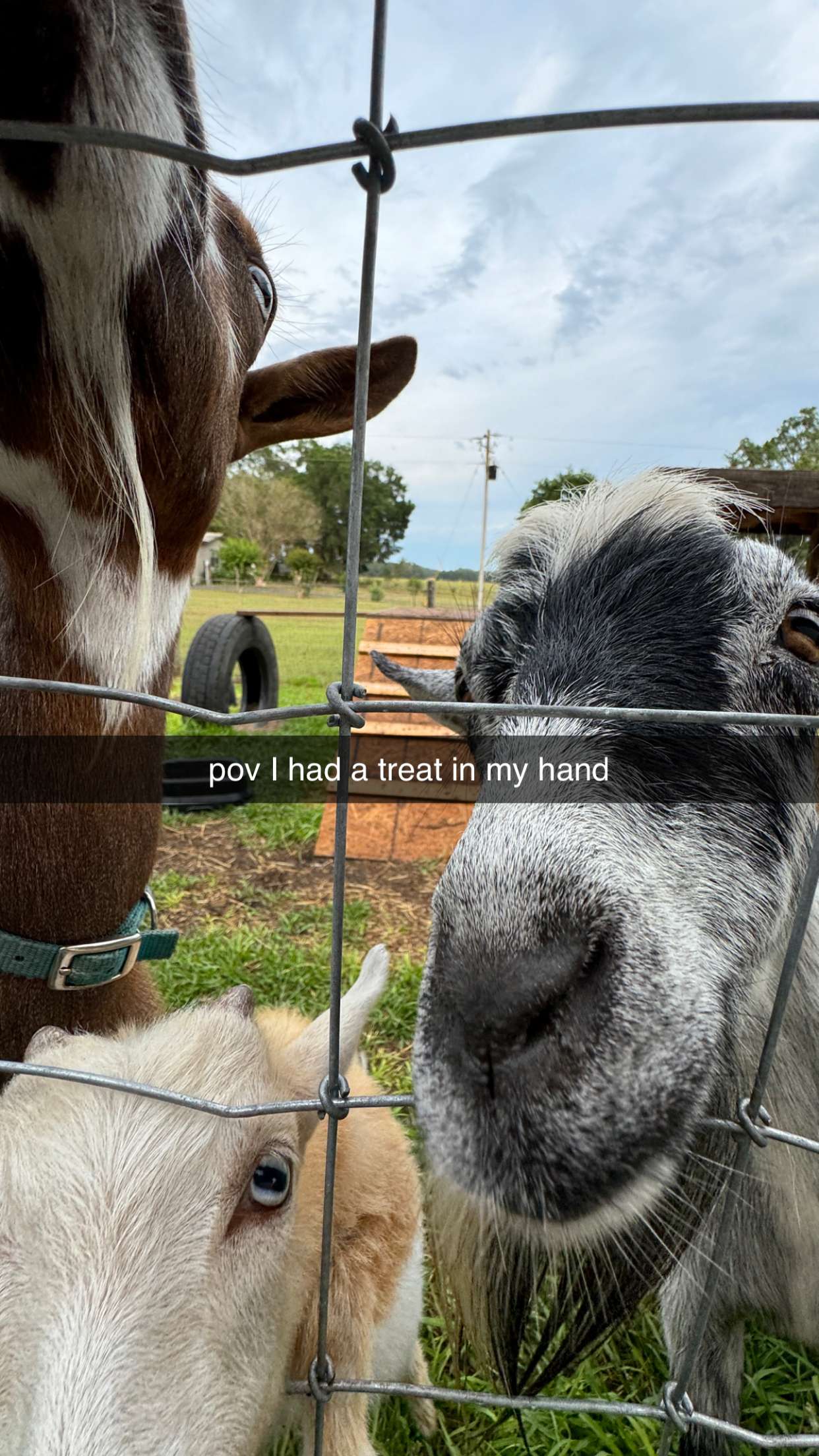 kkierstenking snapchat image archive image