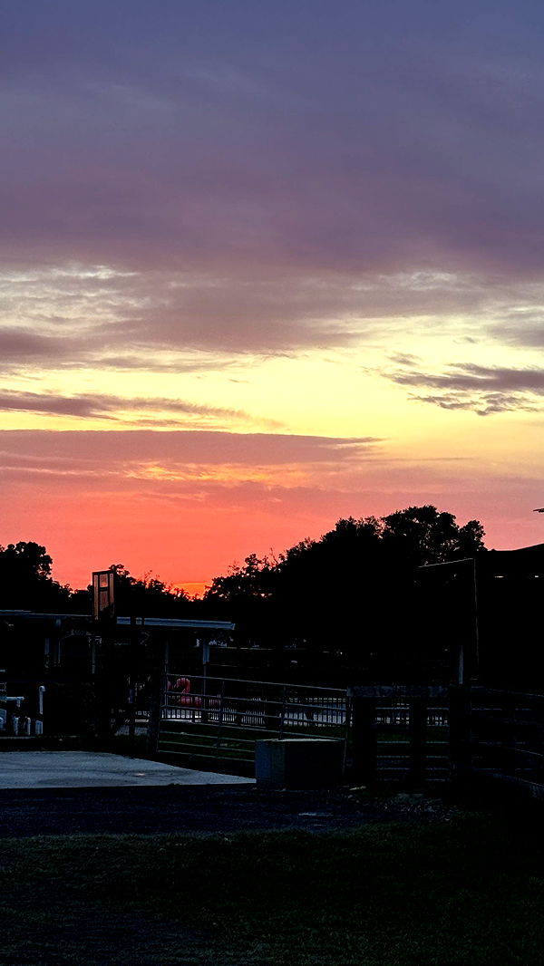 kkierstenking image ~ Altpins