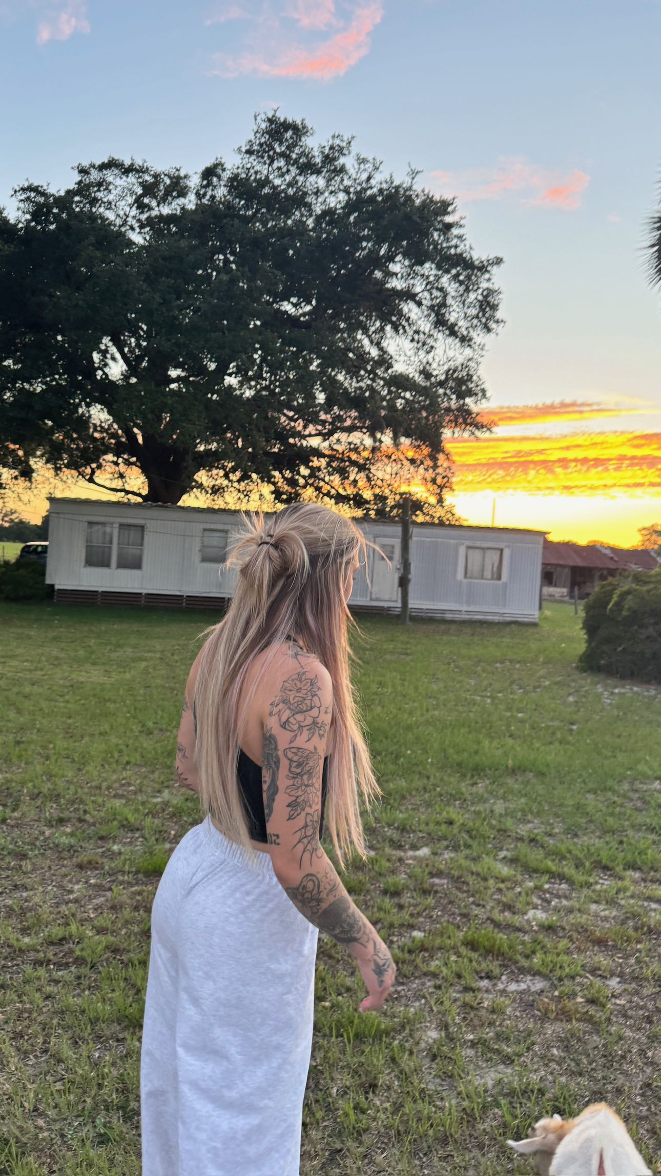 kkierstenking snapchat image archive image