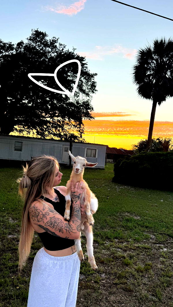 kkierstenking image ~ Altpins