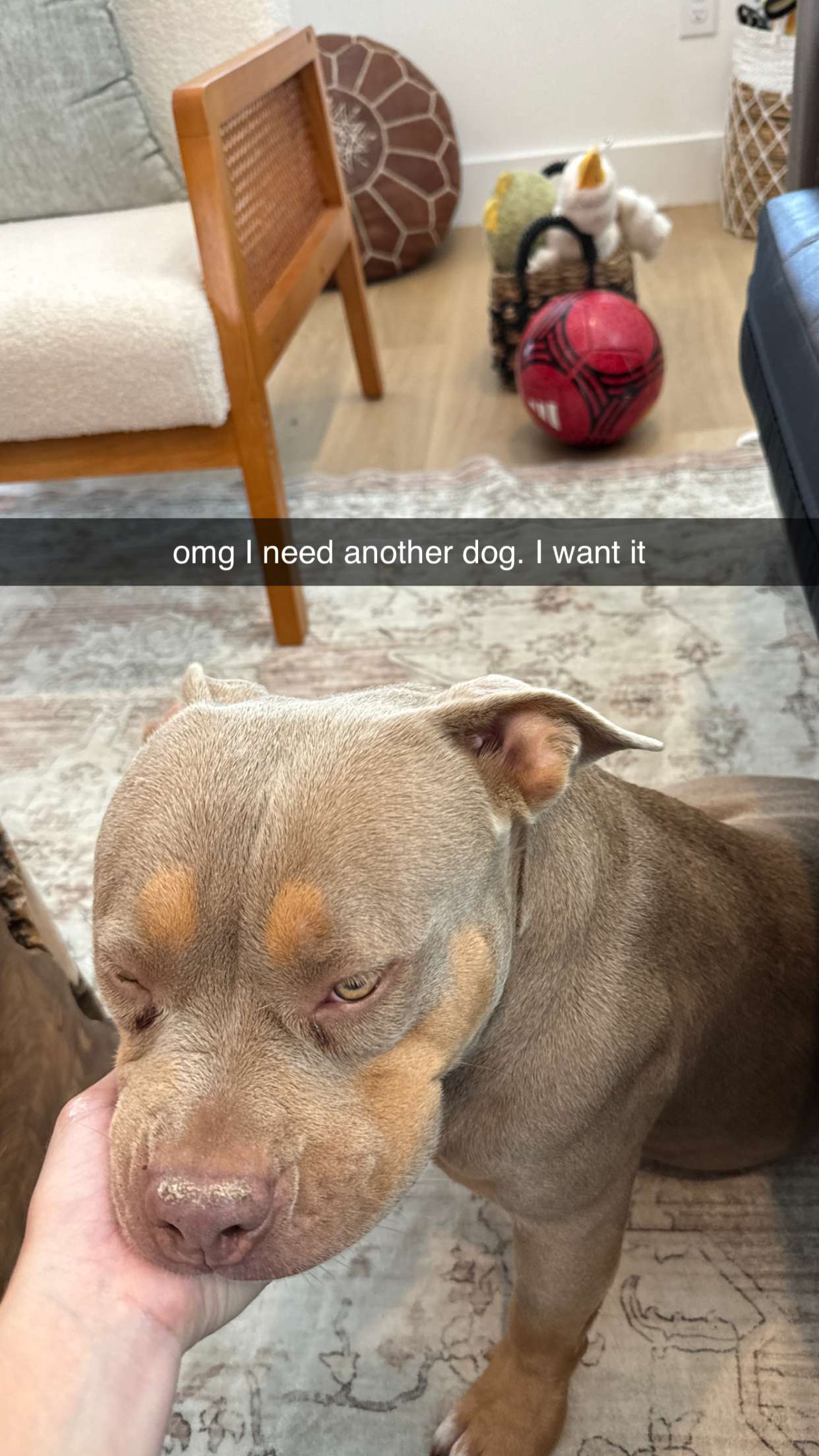 kkierstenking snapchat image archive image