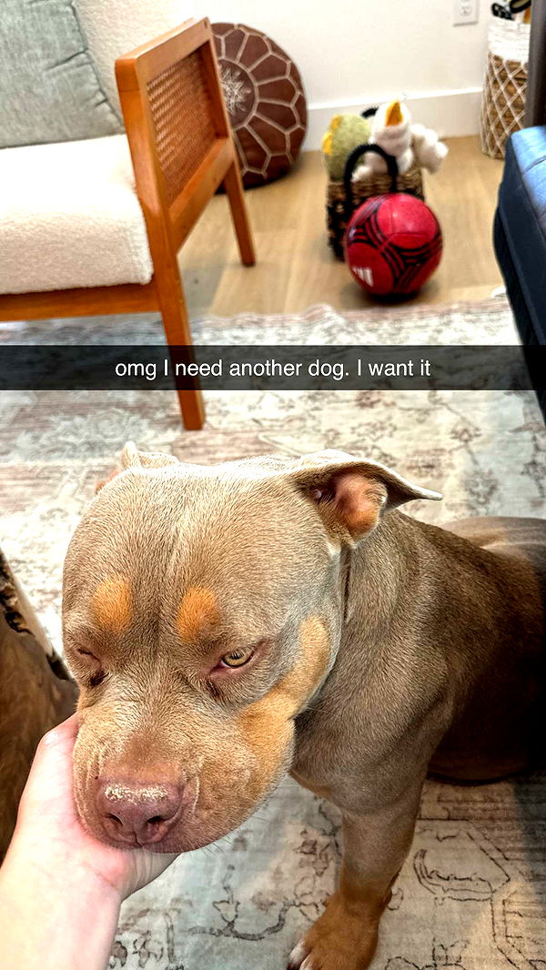 kkierstenking image ~ Altpins