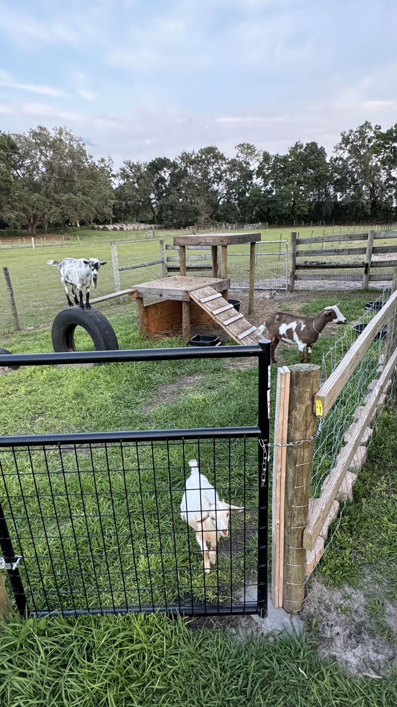 kkierstenking snapchat image archive image