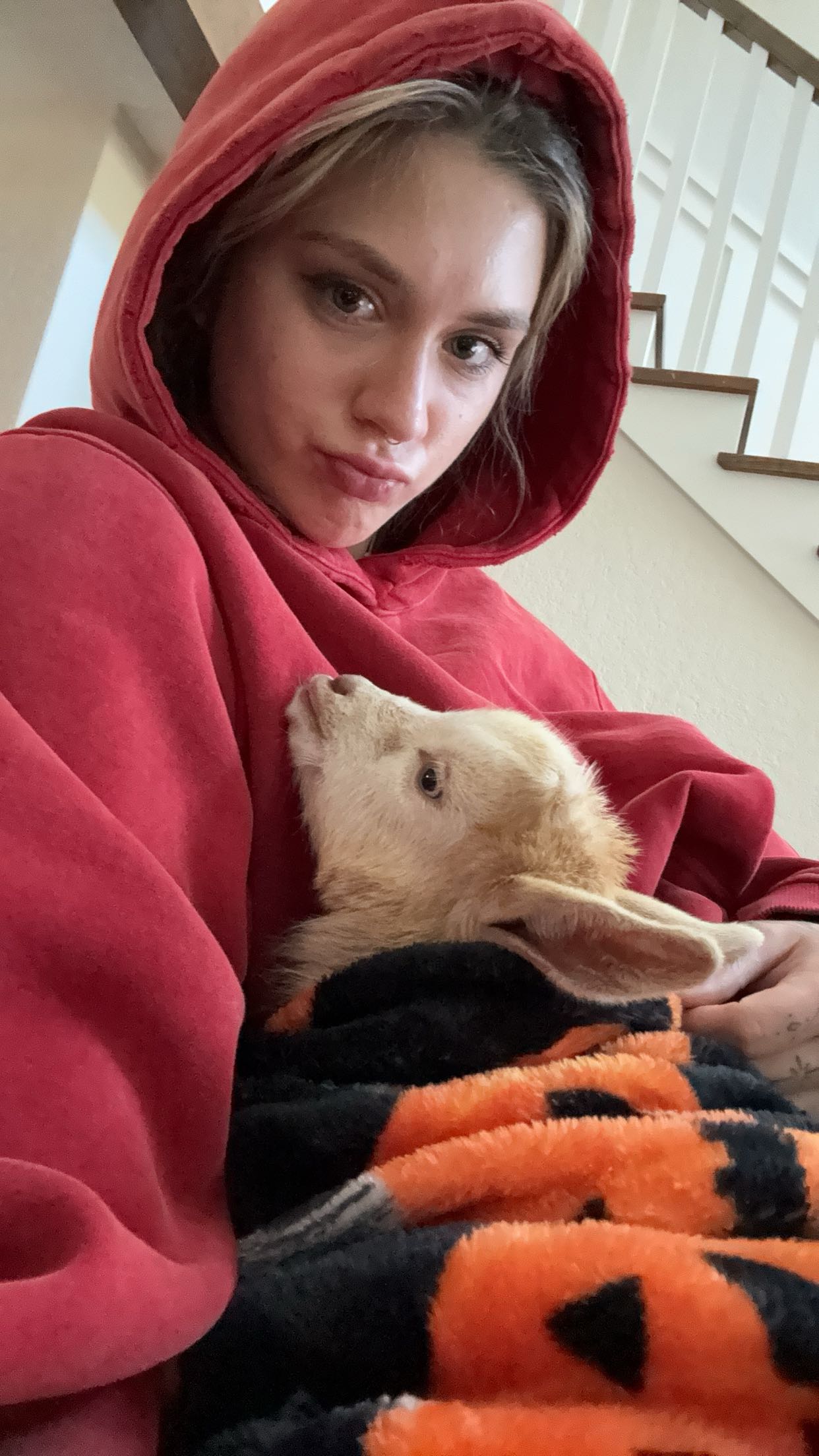 kkierstenking snapchat image archive image