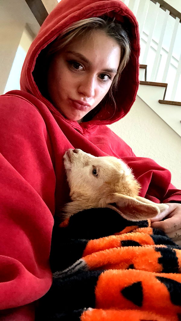 kkierstenking image ~ Altpins