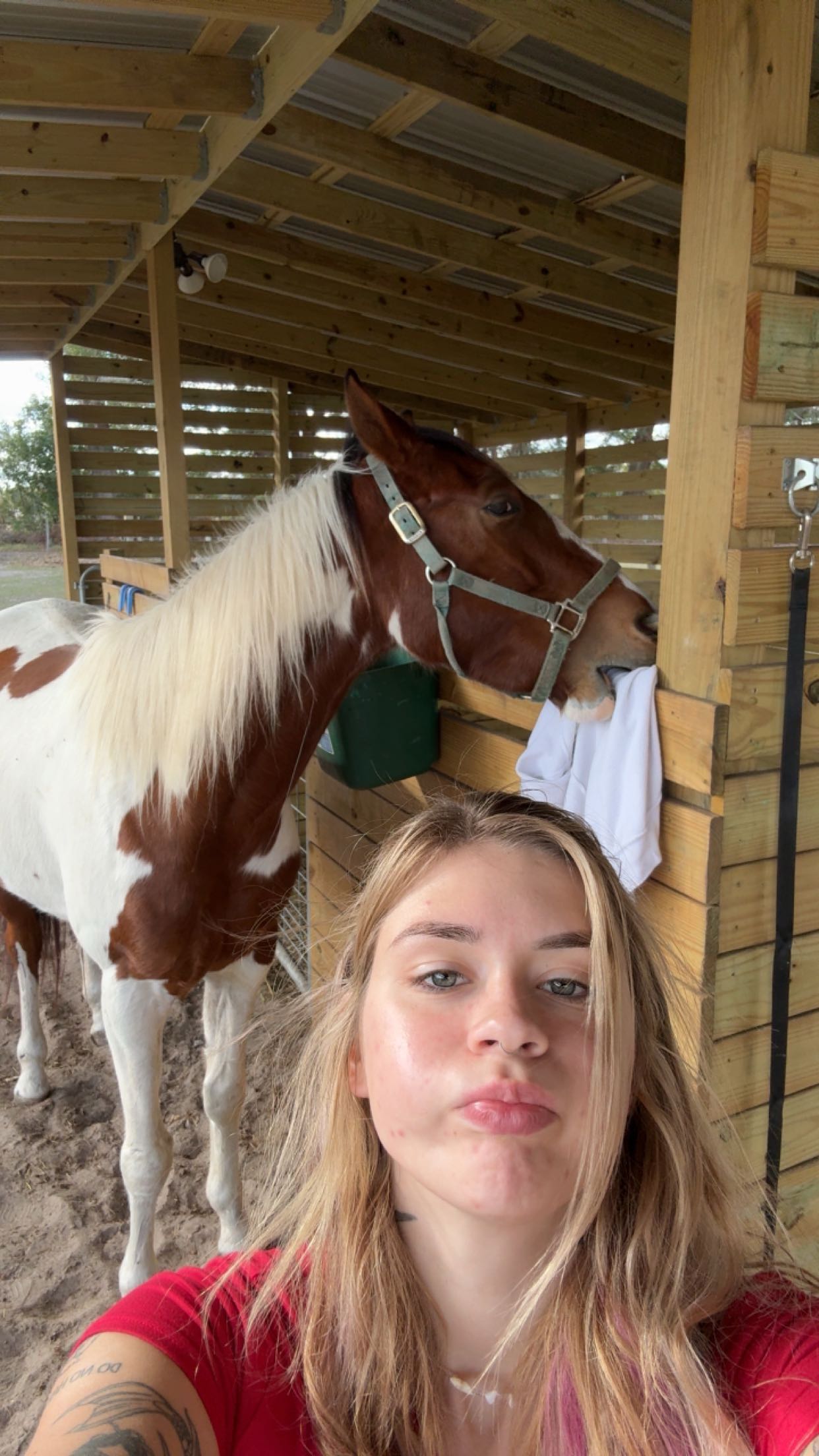 kkierstenking snapchat image archive image