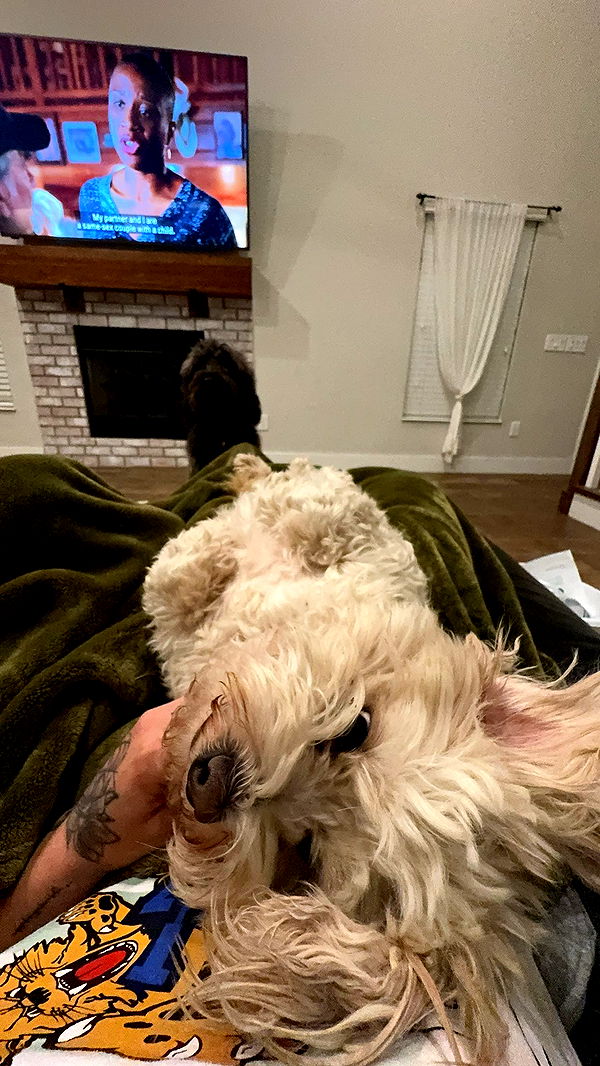 kkierstenking image ~ Altpins