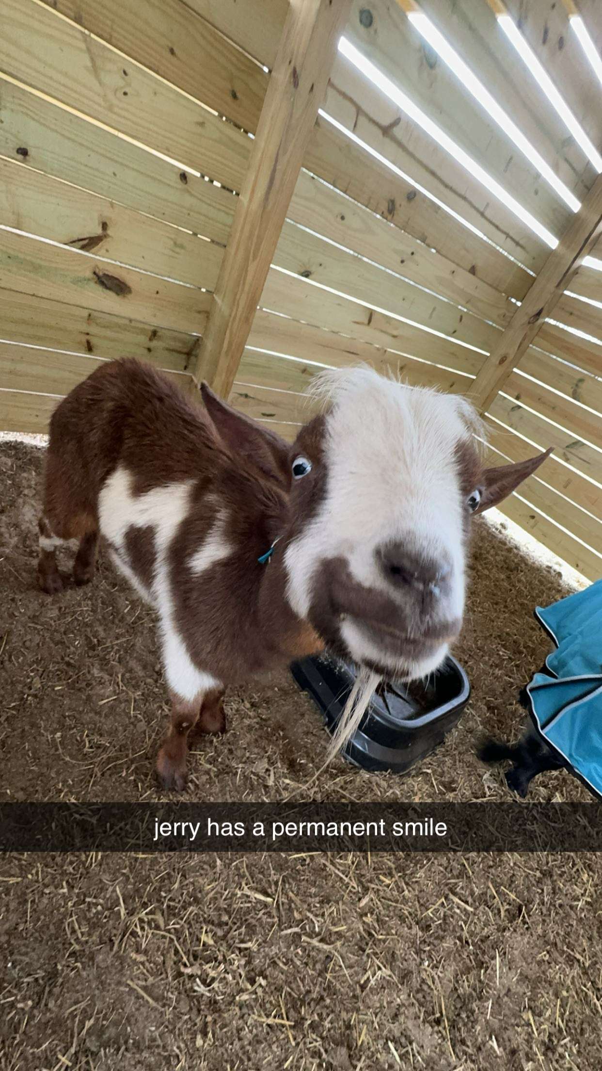 kkierstenking snapchat image archive image