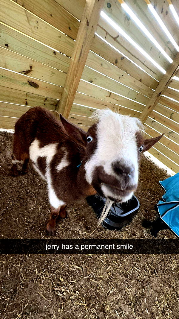 kkierstenking image ~ Altpins