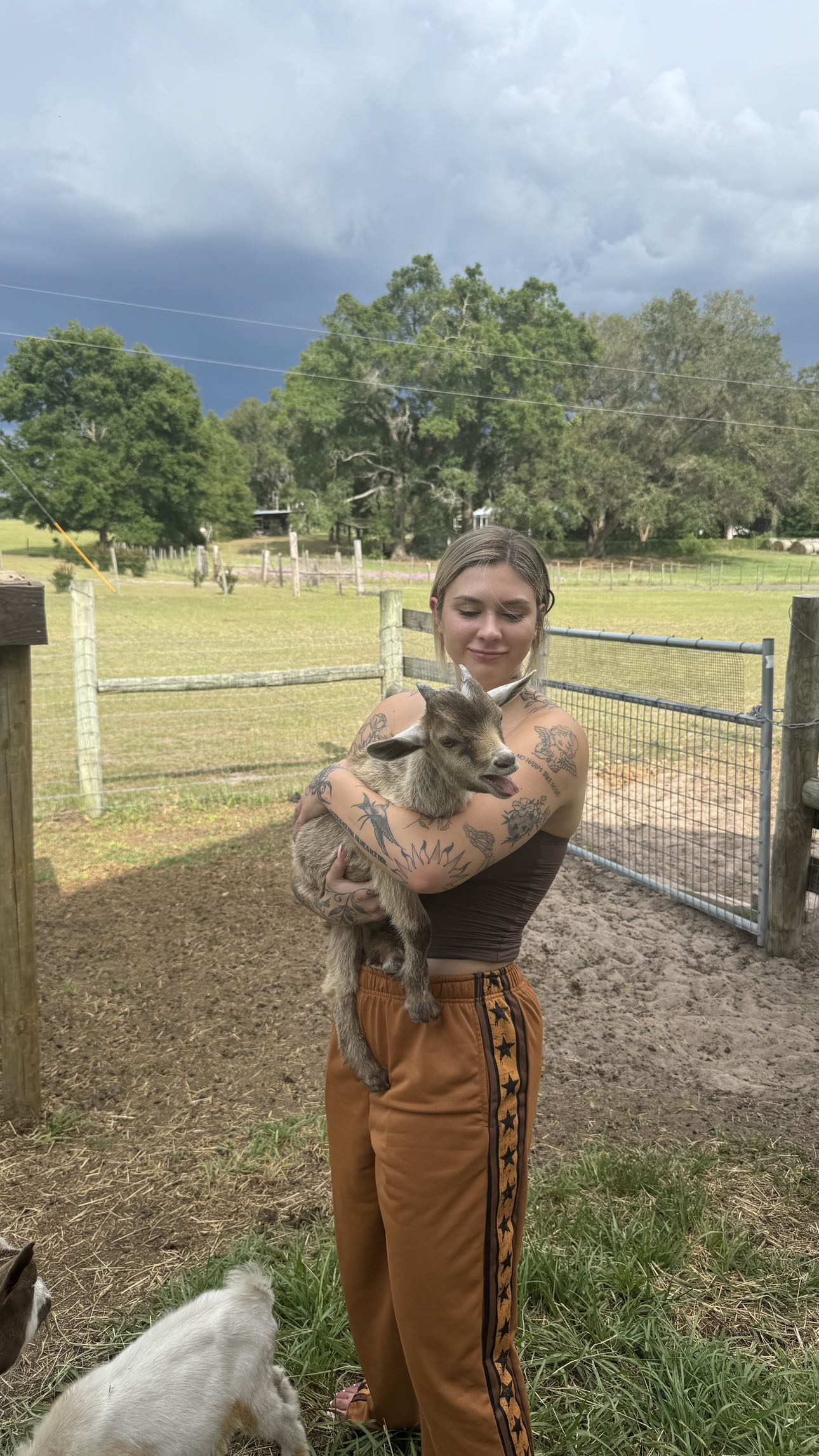 kkierstenking snapchat image archive image