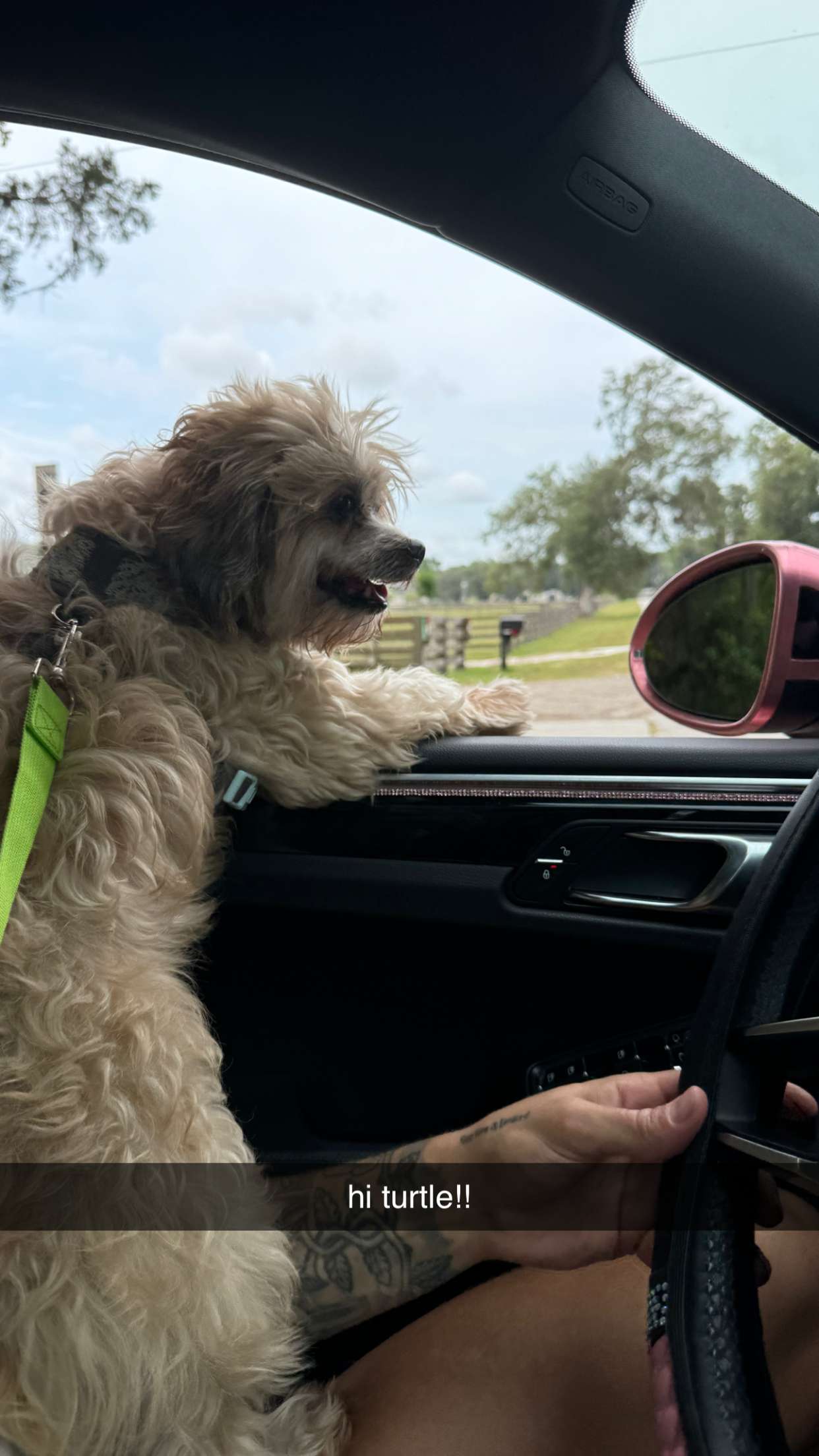 kkierstenking snapchat image archive image