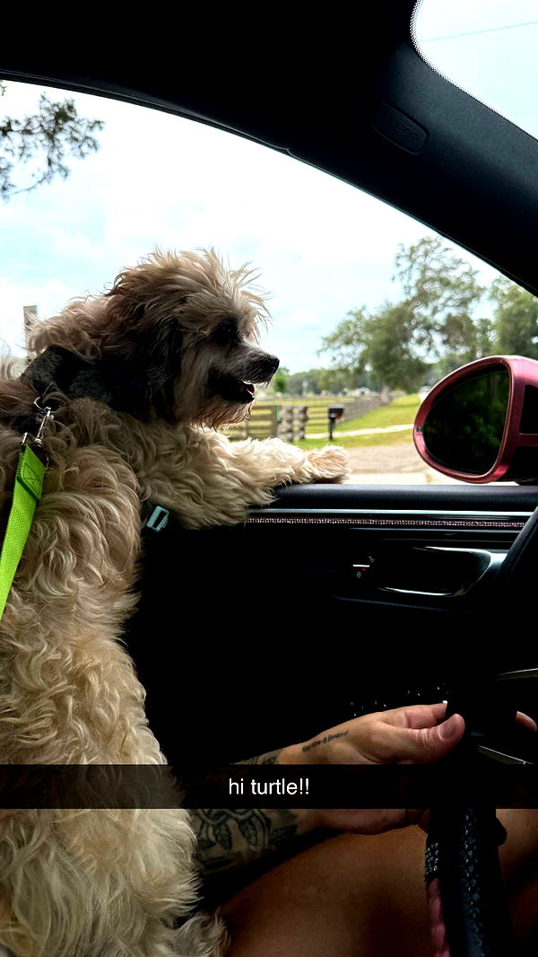 kkierstenking image ~ Altpins