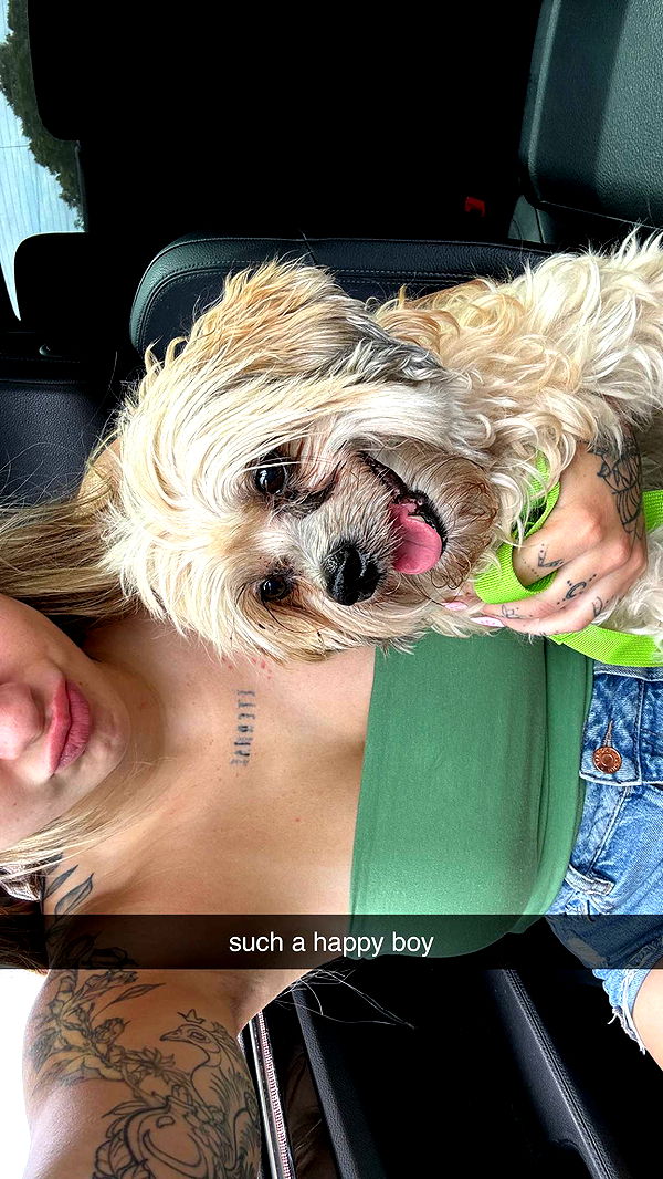 kkierstenking image ~ Altpins