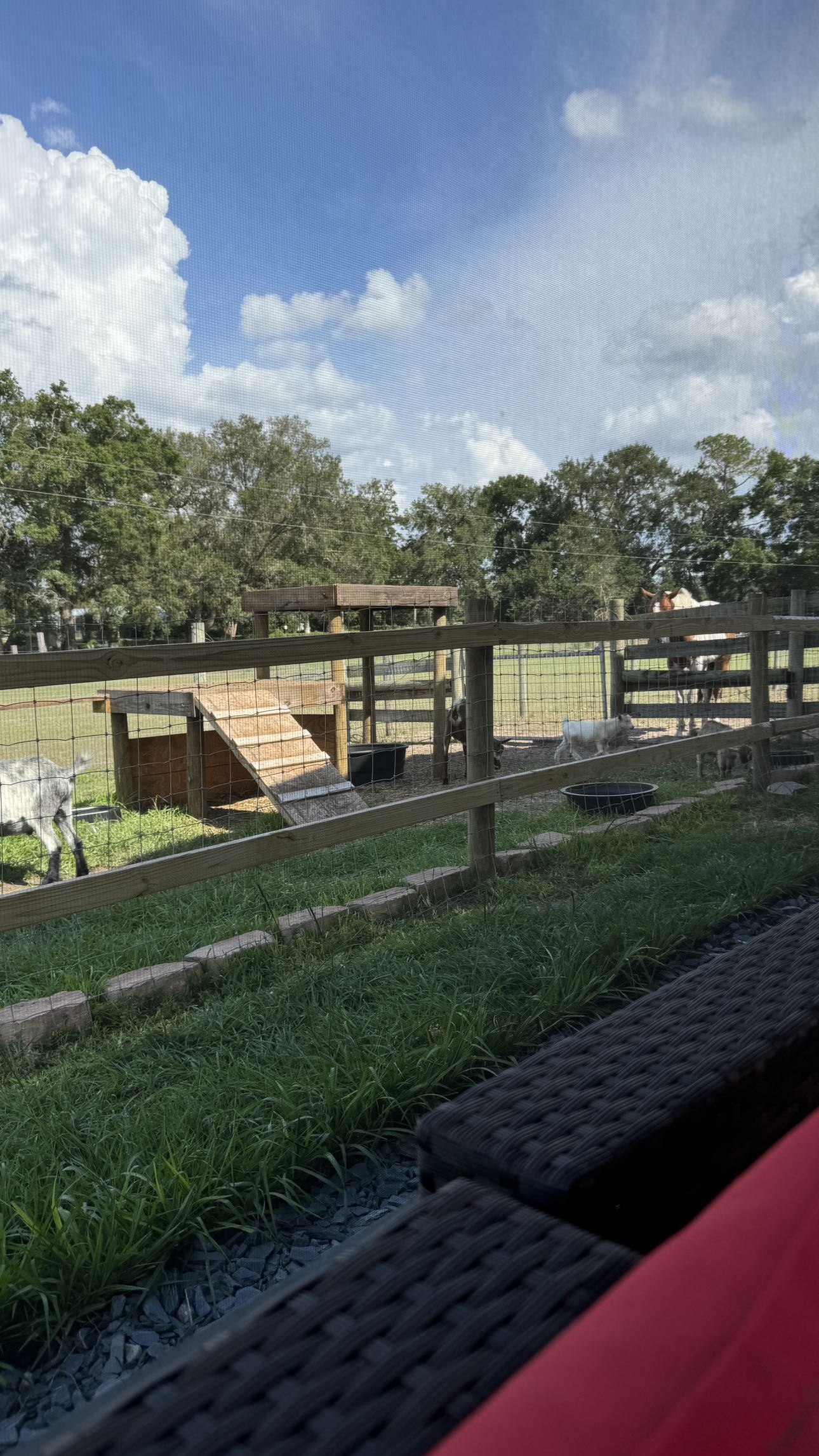 kkierstenking snapchat image archive image