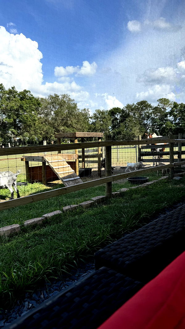 kkierstenking image ~ Altpins