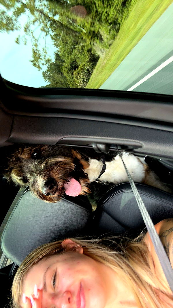 kkierstenking image ~ Altpins