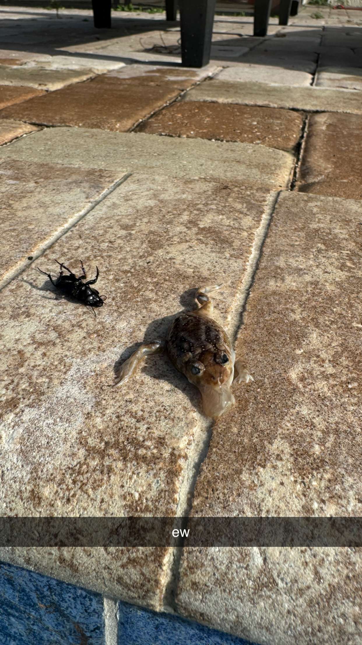 kkierstenking snapchat image archive image