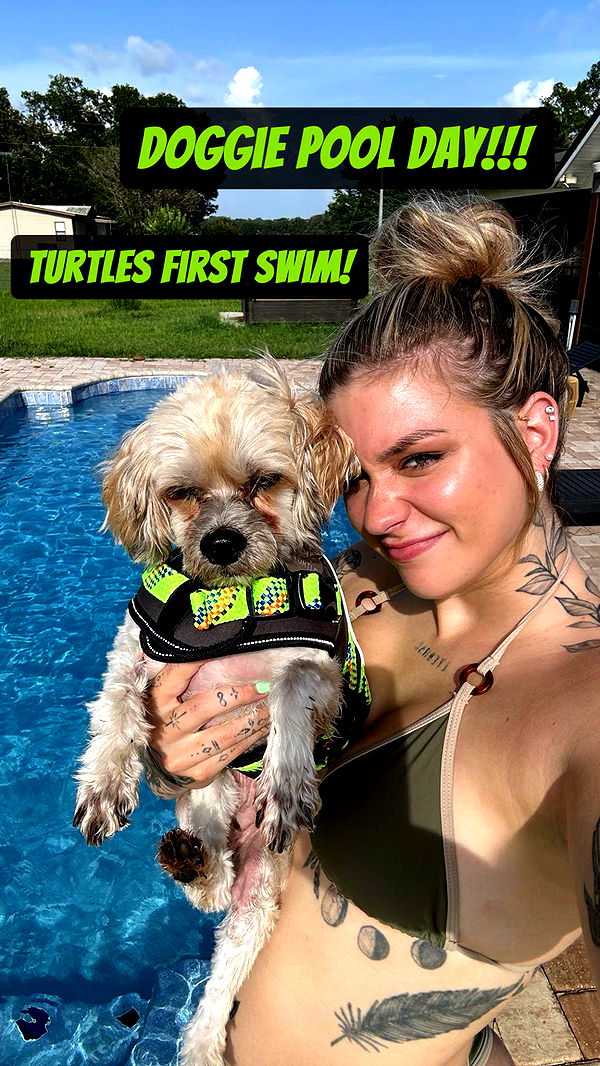 kkierstenking image ~ Altpins