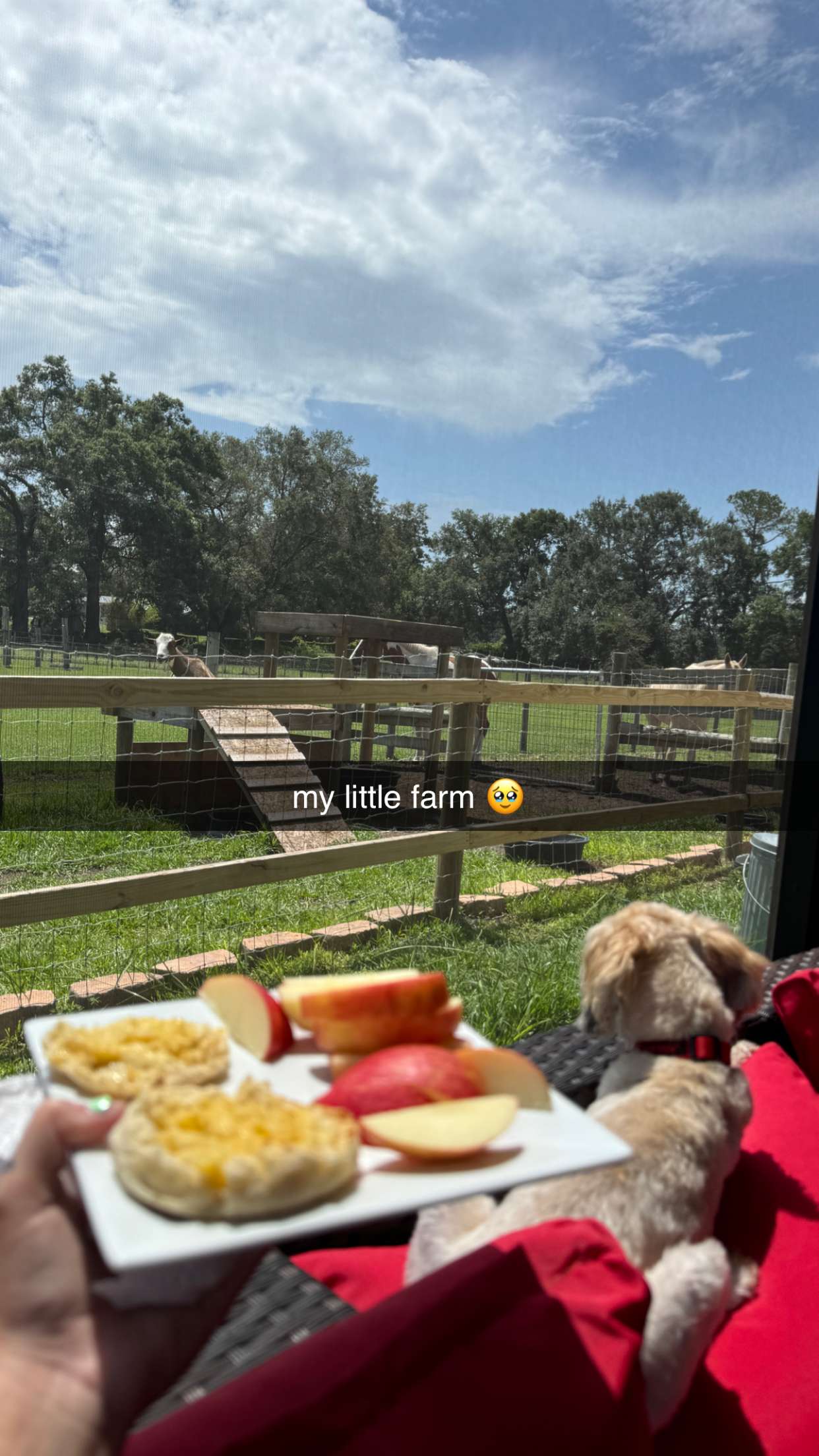 kkierstenking snapchat image archive image