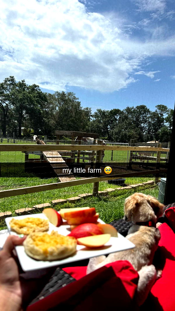 kkierstenking image ~ Altpins