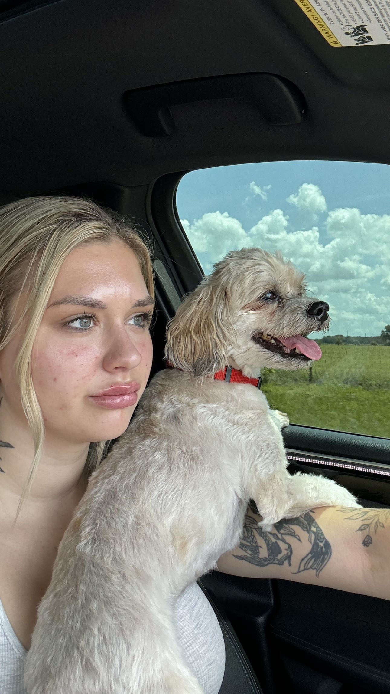 kkierstenking snapchat image archive image