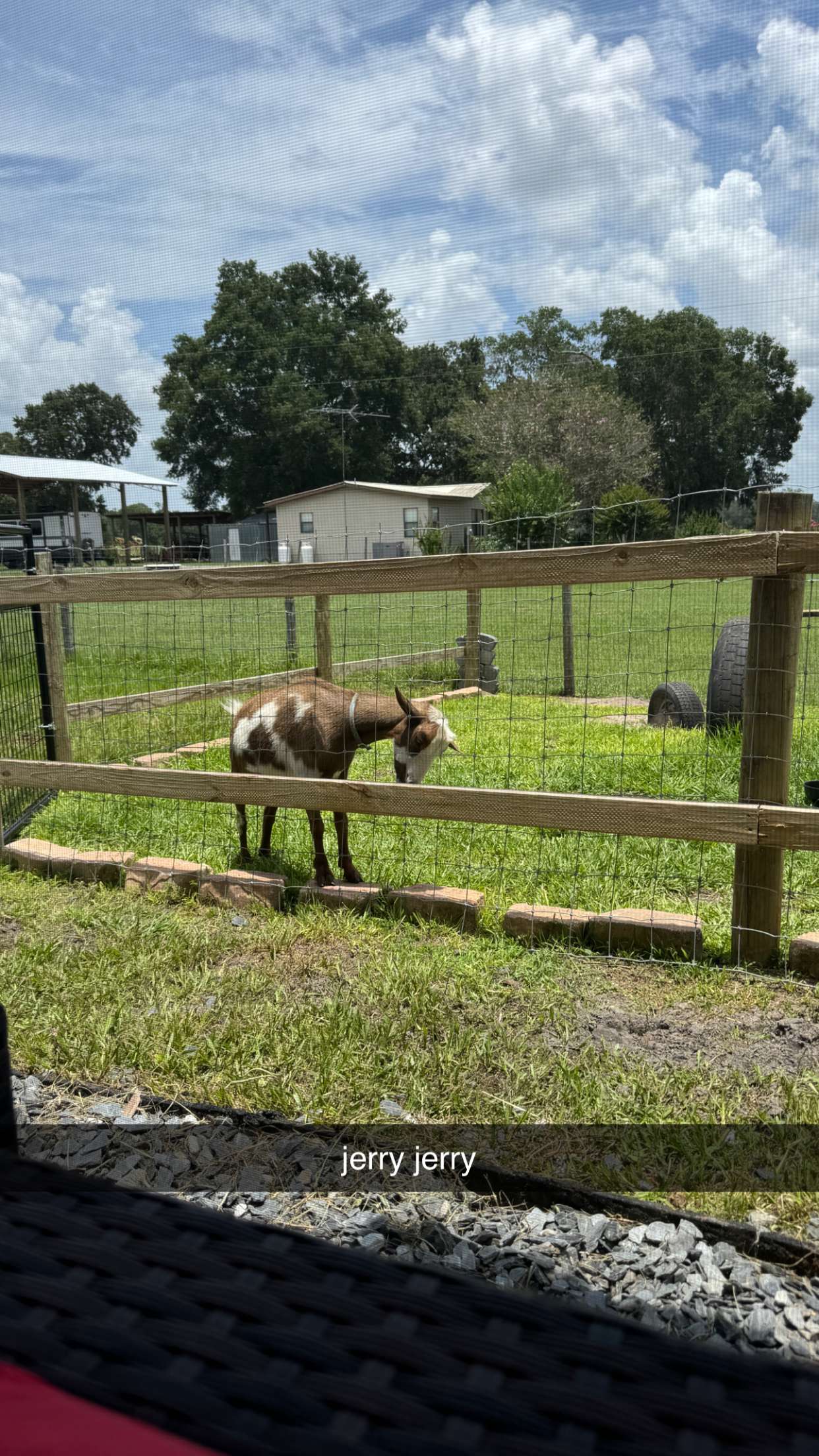 kkierstenking snapchat image archive image