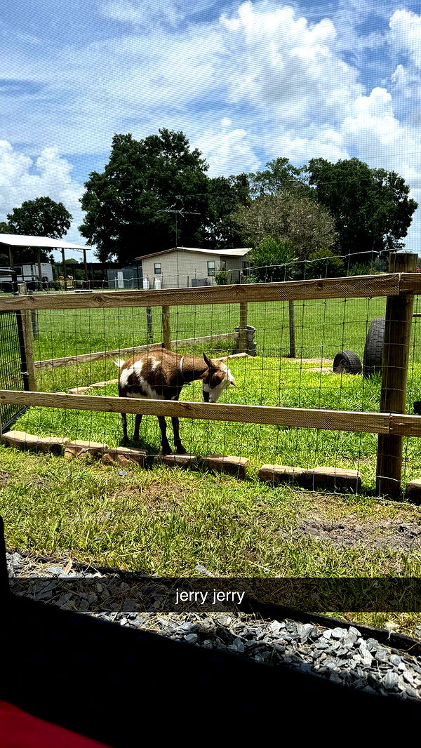 kkierstenking image ~ Altpins