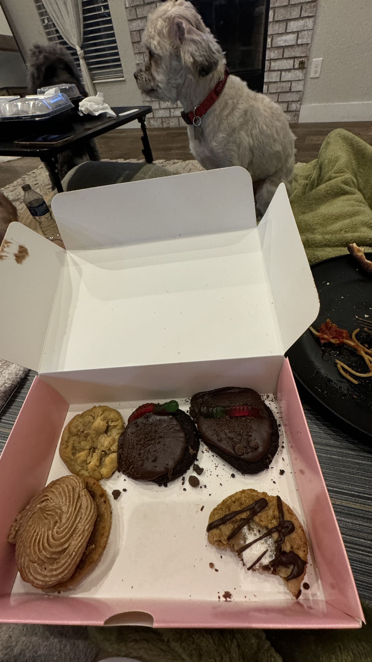 kkierstenking snapchat image archive image