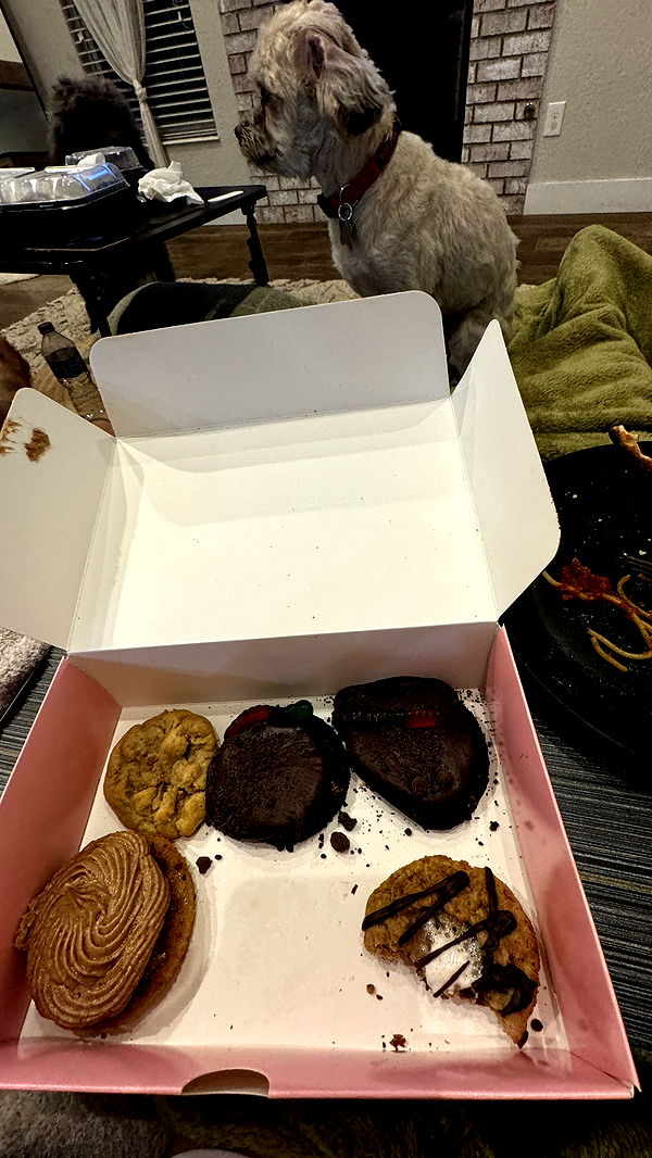 kkierstenking image ~ Altpins