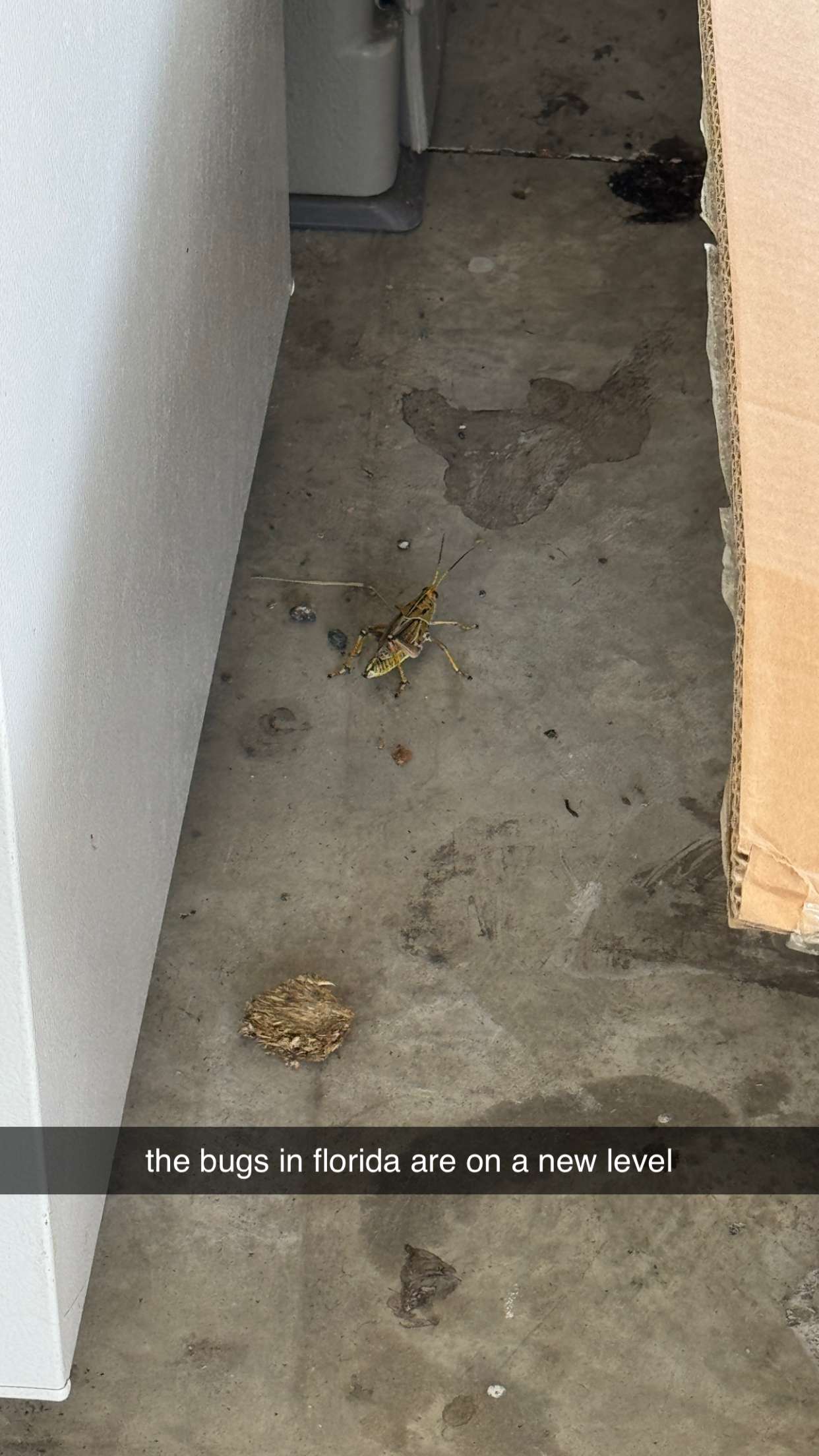 kkierstenking snapchat image archive image