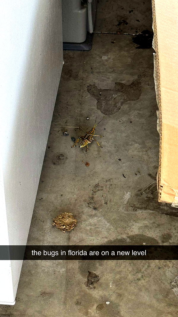 kkierstenking image ~ Altpins