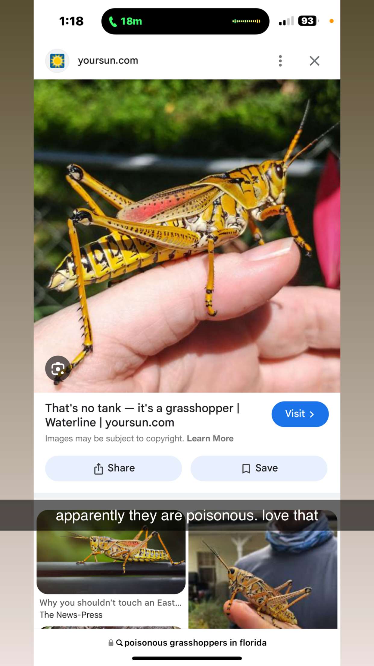 kkierstenking snapchat image archive image