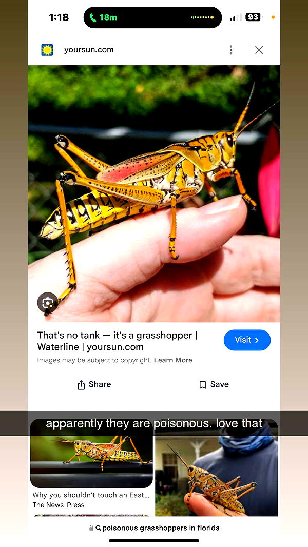 kkierstenking image ~ Altpins