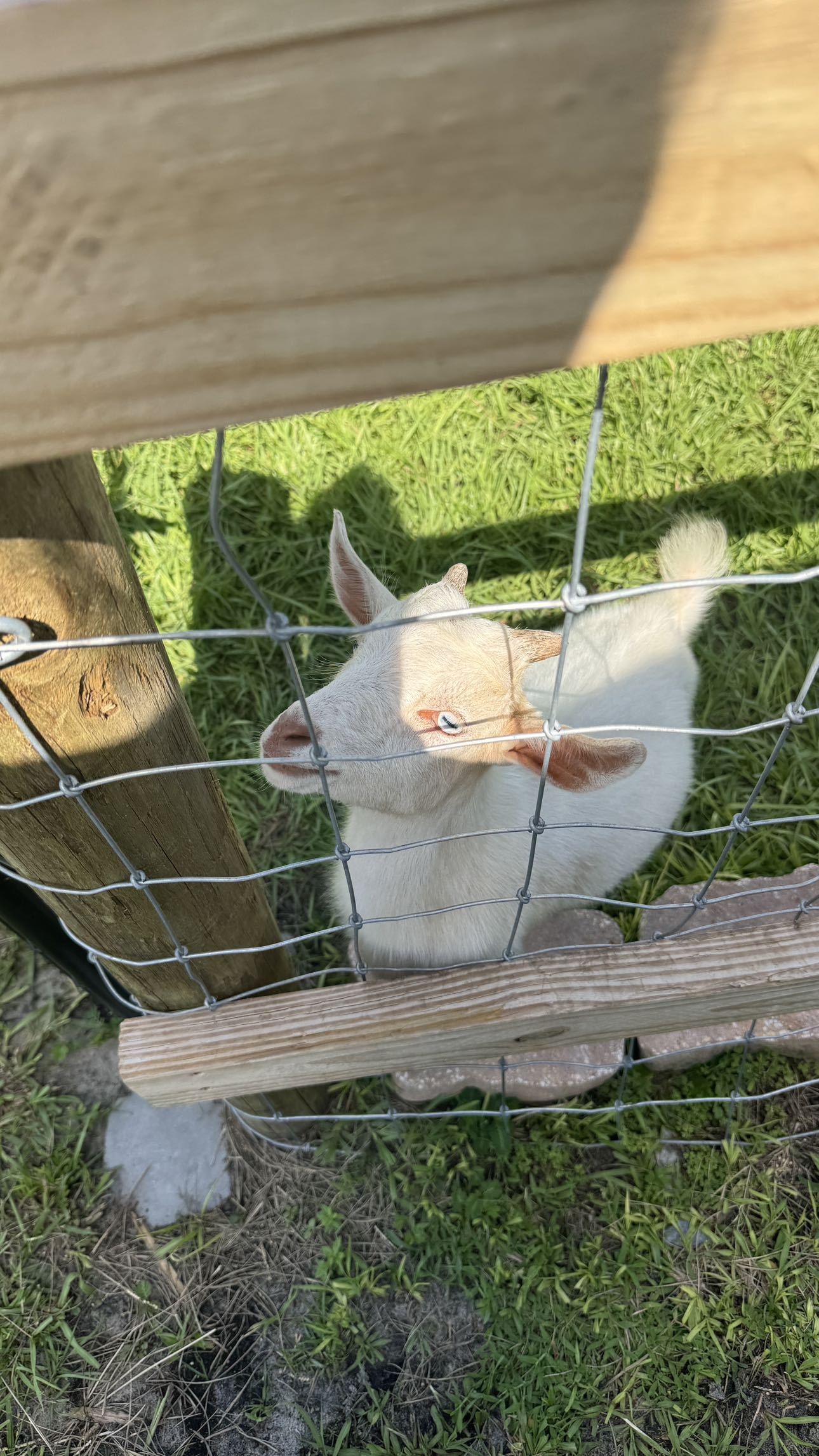 kkierstenking snapchat image archive image