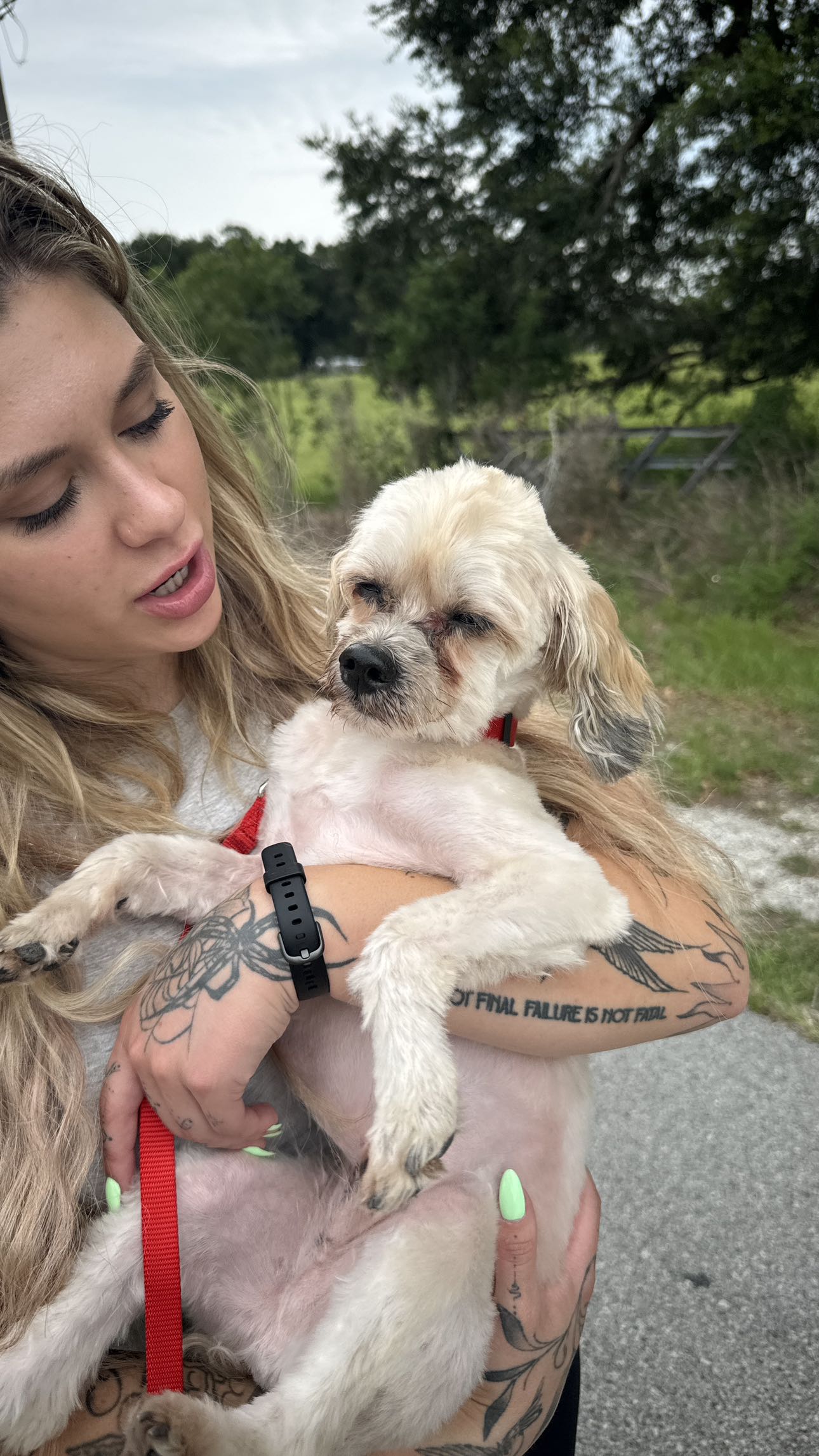 kkierstenking snapchat image archive image