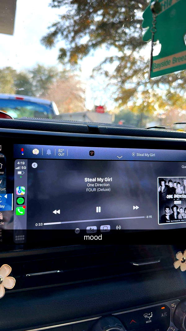 kkierstenking image ~ Altpins