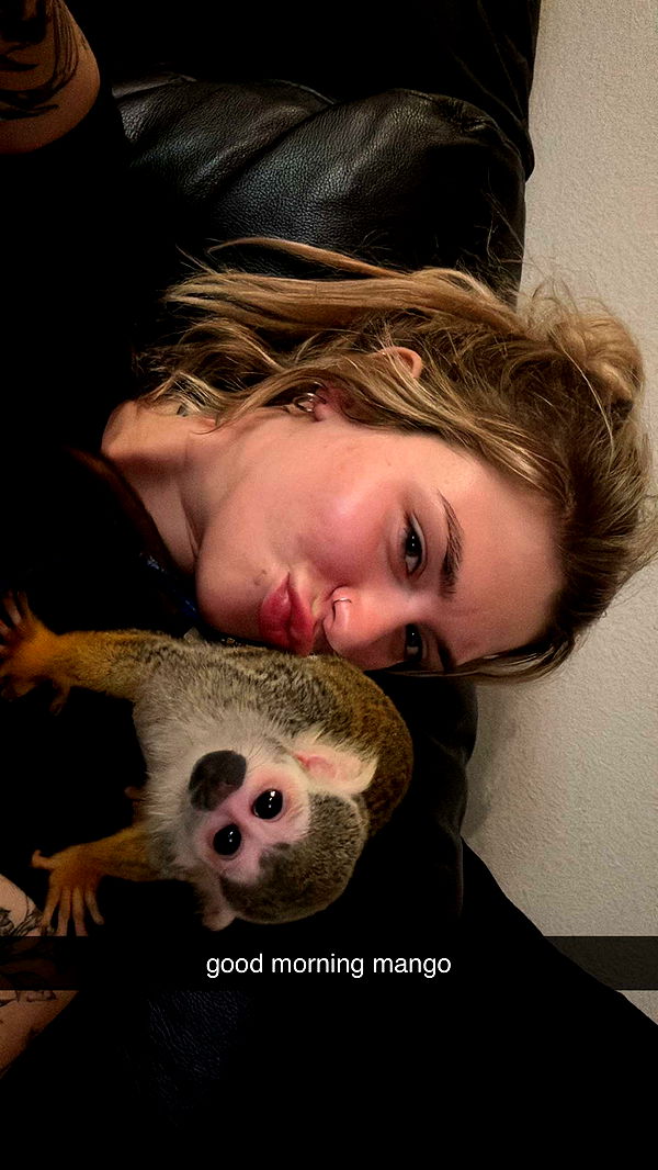 kkierstenking image ~ Altpins