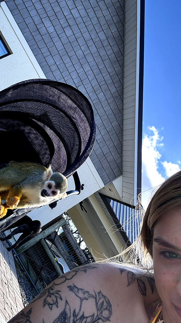 kkierstenking image ~ Altpins