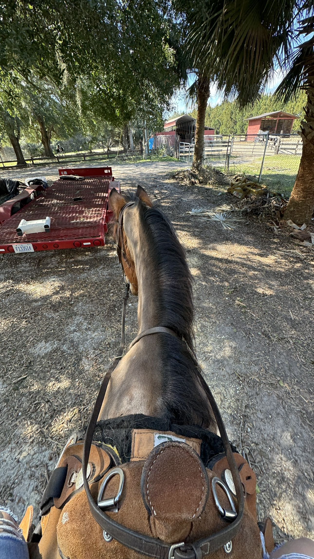 kkierstenking snapchat image archive image