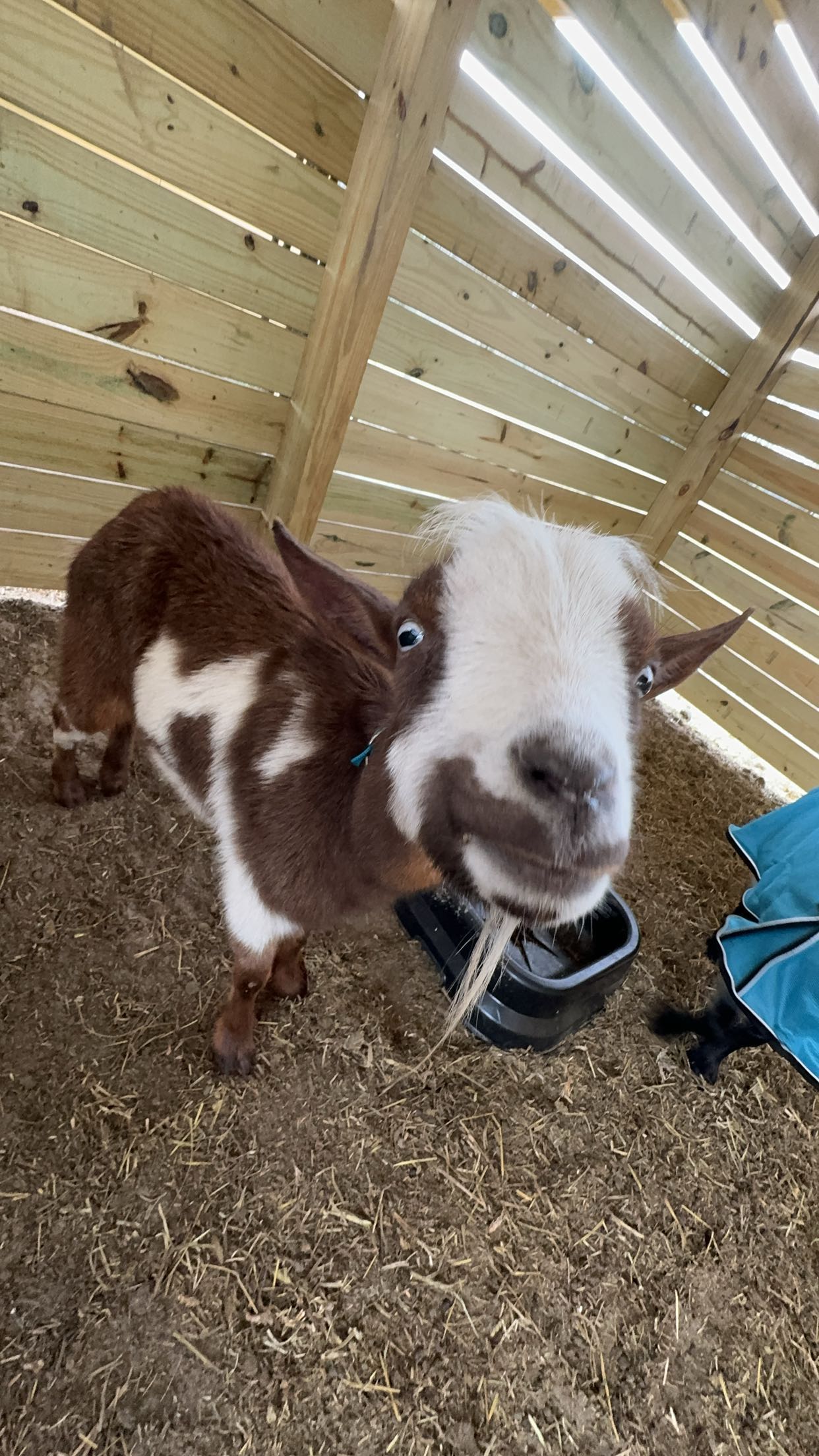 kkierstenking snapchat image archive image