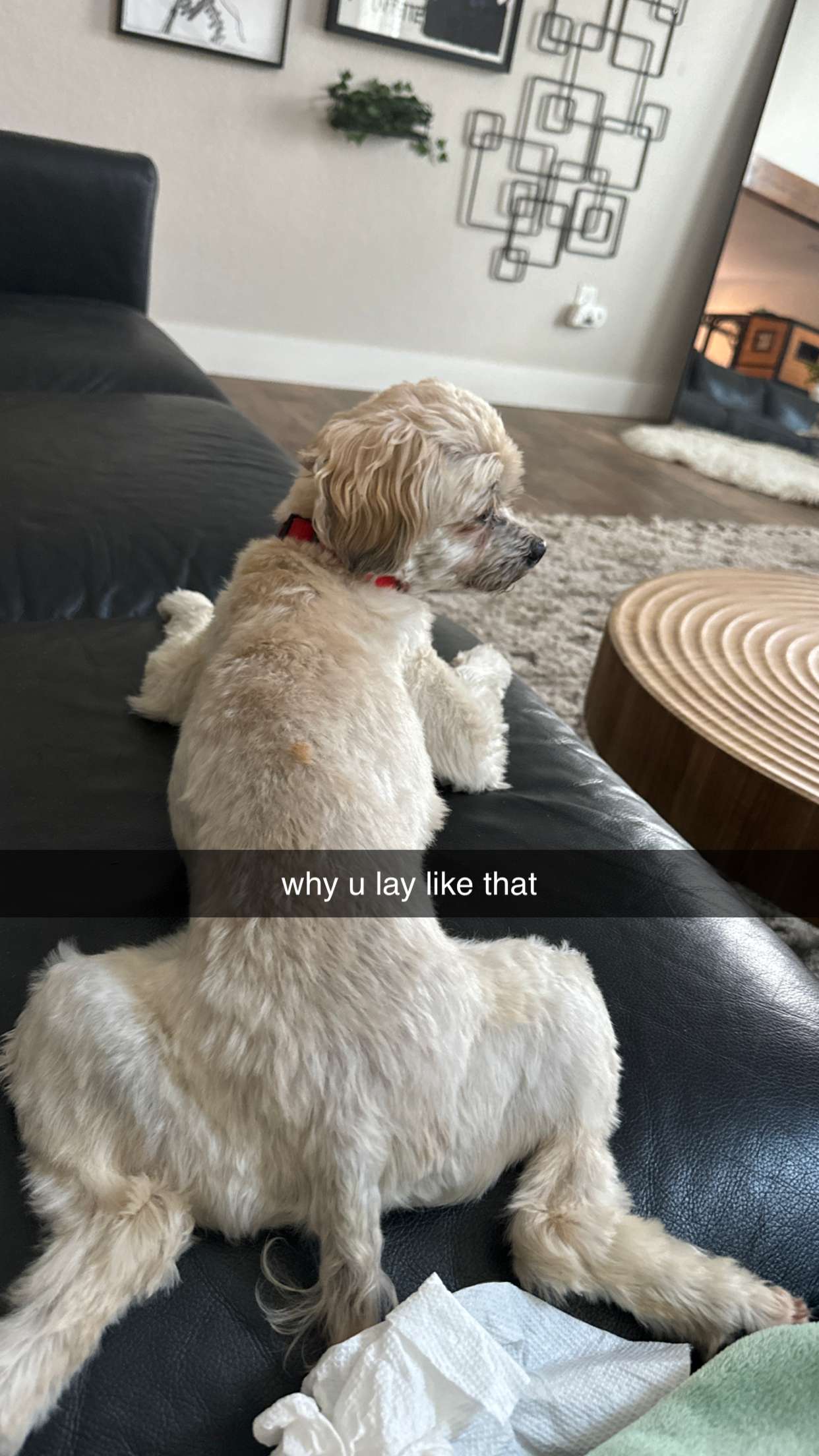 kkierstenking snapchat image archive image