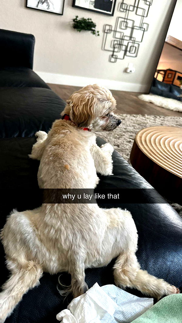 kkierstenking image ~ Altpins