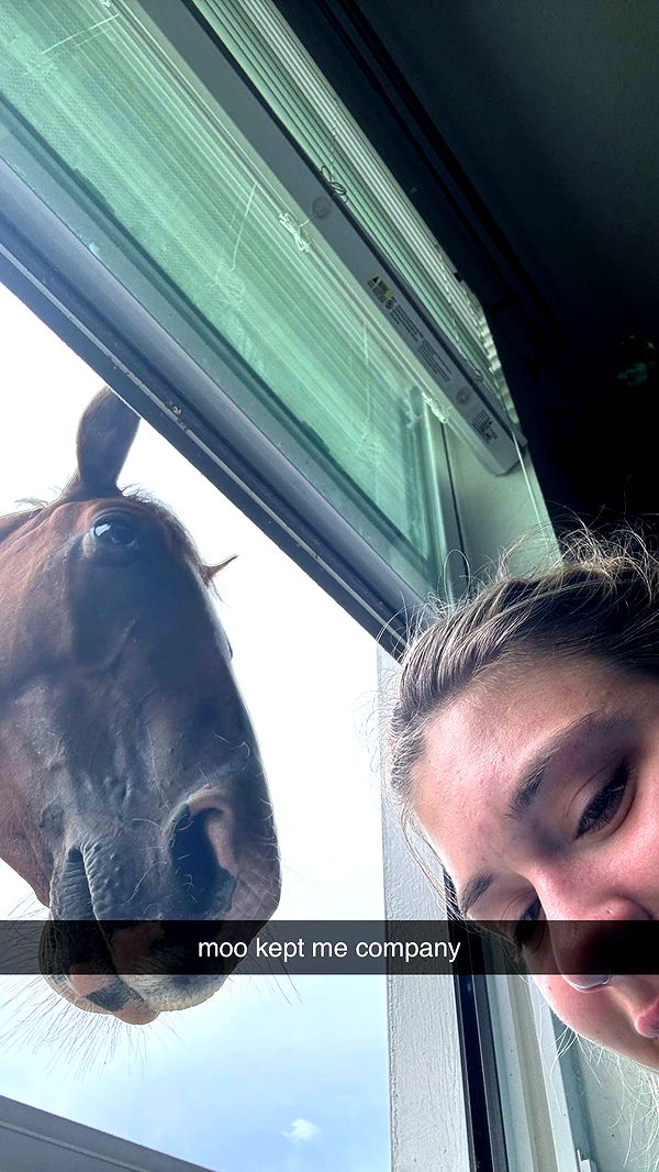 kkierstenking image ~ Altpins