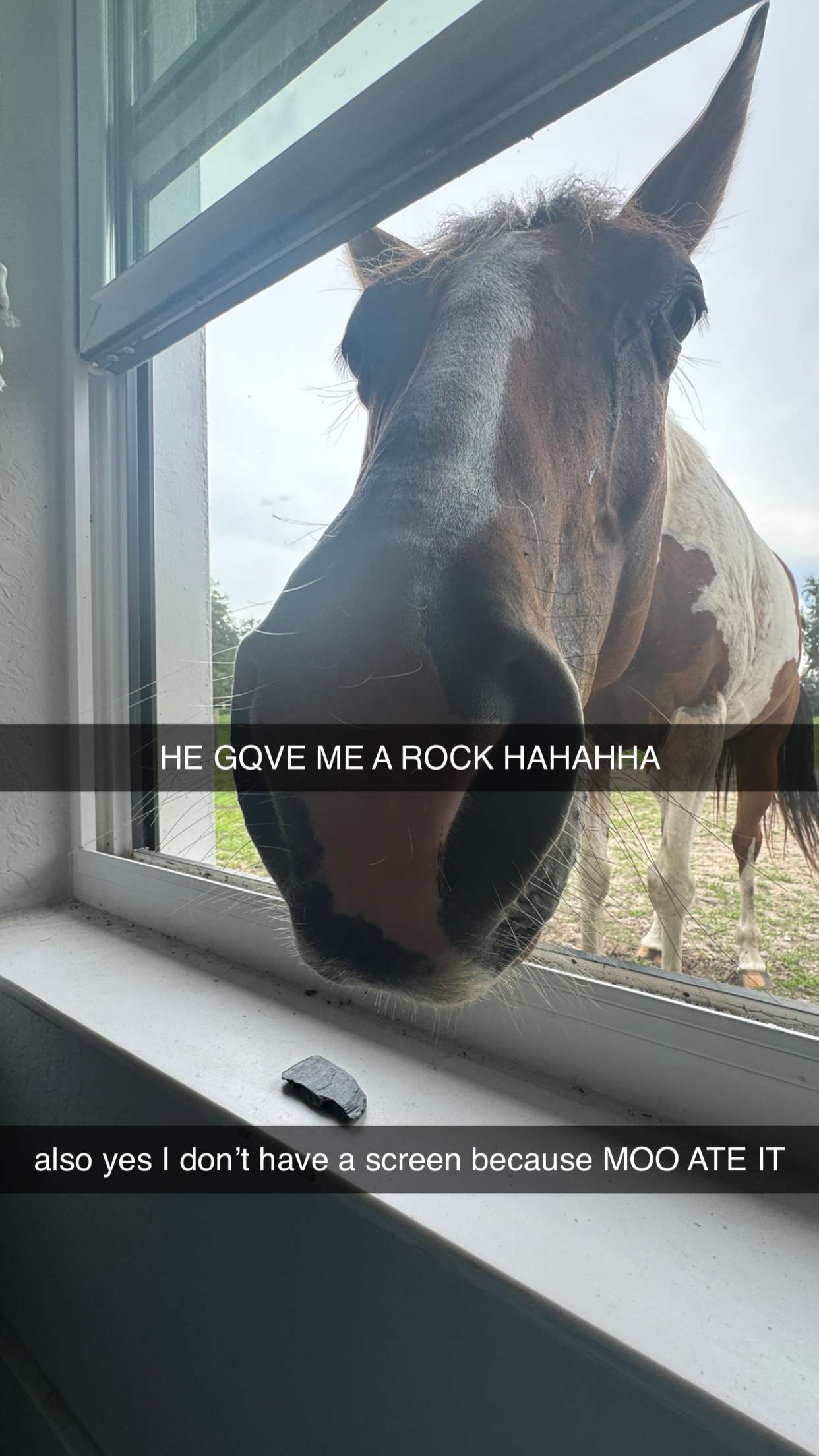 kkierstenking snapchat image archive image