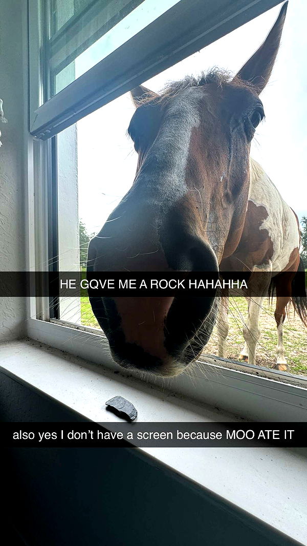 kkierstenking image ~ Altpins