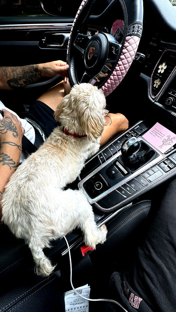 kkierstenking image ~ Altpins