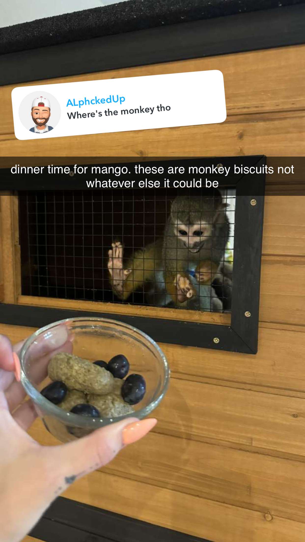 kkierstenking snapchat image archive image