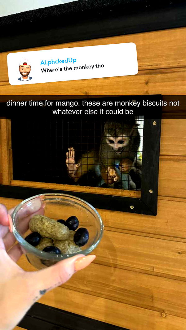 kkierstenking image ~ Altpins